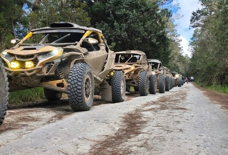 0ea1aa0b-97a3-4390-ba56-bcdfe7fbd635